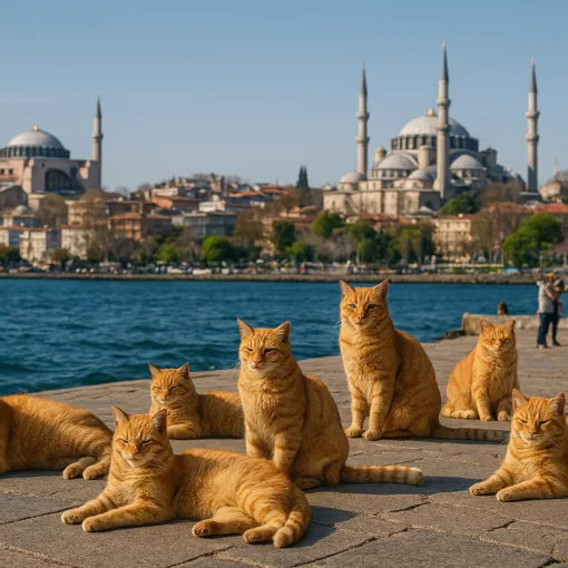 Множественное число в турецком языке