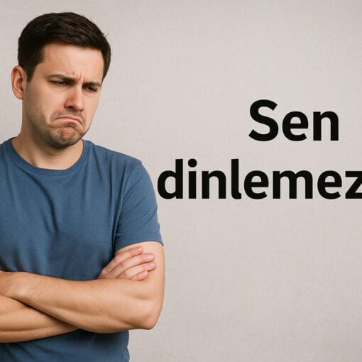 Sen dinlemezsin