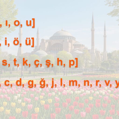 Vowel and Consonant Harmony