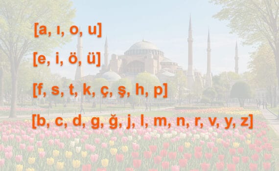 Vowel and Consonant Harmony